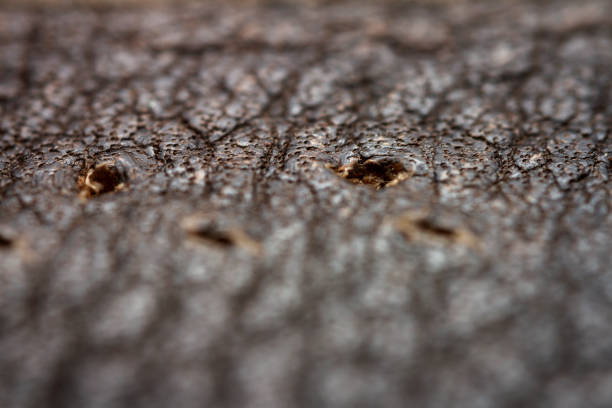 Extreme closeup of a leather, shallow deph of field. Macro for brown leather. Selective focus.