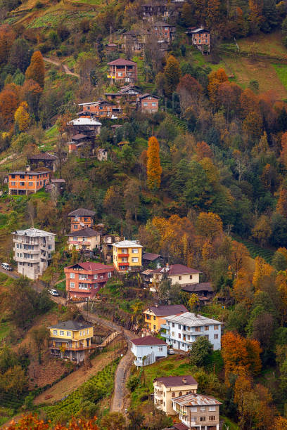 istock Black Sea Region Mountains with Tea Fields at Autumn 1391434115