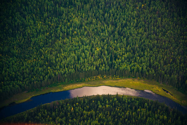 view from a height of taiga with a river in siveria