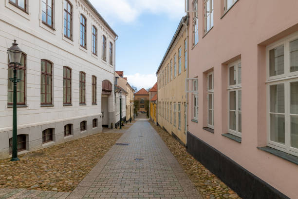 istock Narrow road lined with buildings in Viborg, Denmark 1391442671