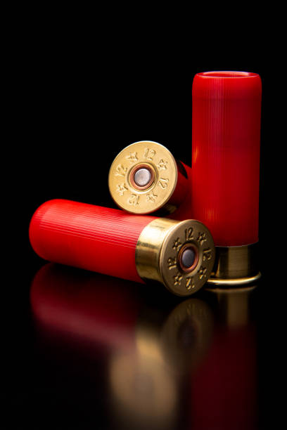 istock Shotgun shells on a black reflective surface. Ammunition for 12 gauge smoothbore weapons. Hunting ammunition. Dark background. 1391444666