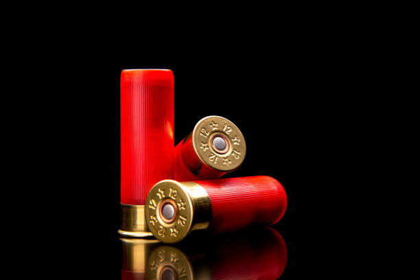 istock Shotgun shells on a black reflective surface. Ammunition for 12 gauge smoothbore weapons. Hunting ammunition. Dark background. 1391444667