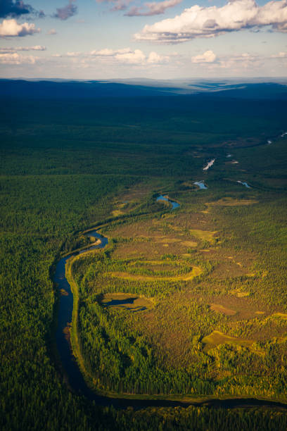 istock view from a height of taiga with a river 1391444854
