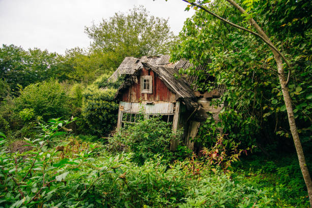 istock small house overgrown with grass and bushes 1391446191