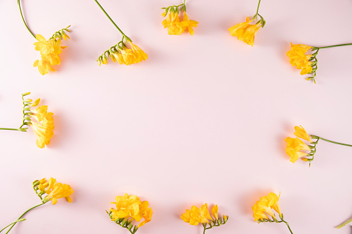 Beautiful yellow flowers on pink background
