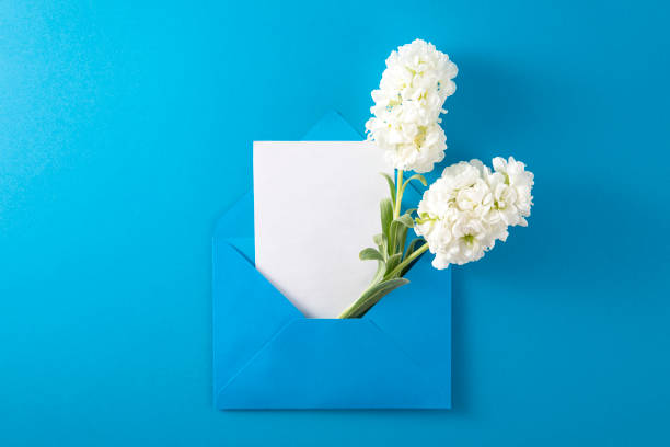 Flowers in blue envelope with empty greeting card on blue background