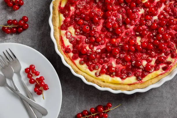 Redcurrant cheesecake, tart with fresh berries in a white baking dish on dark gray background. Top view.
