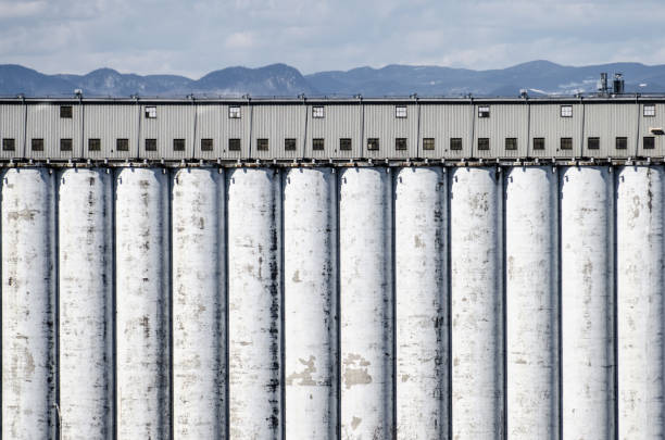 Rows of silos in concrete