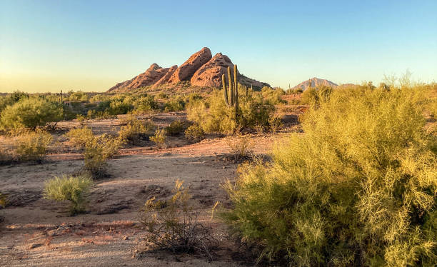 sunset, papago park, sonoran desert, arizona - papago - fotografias e filmes do acervo