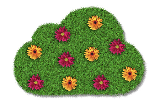 Grass Cloud Symbol Shape with Flowers