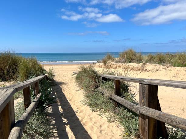 istock wooden path that ends at the beach 1391459486