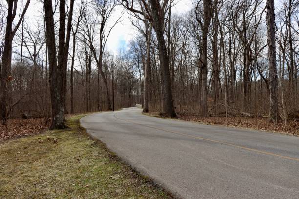 istock Road in the Woods 1391461748