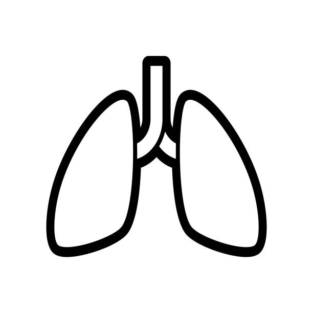 Thin line lungs icon on white background - Vector Thin line lungs icon on white background - Vector illustration pulmons stock illustrations