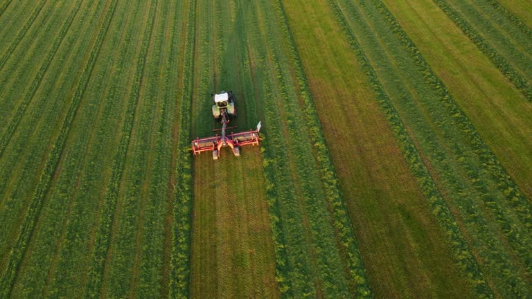 Aerial drone shot of a farmer in tractor cultivating crops on agricultural field, panoramic view landscape farmland sky with clouds