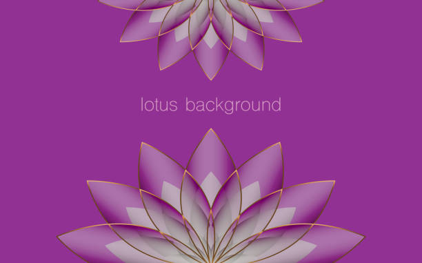 ilustraciones, imágenes clip art, dibujos animados e iconos de stock de plantilla de banner de loto, flor púrpura de la vida. geometría sagrada. símbolo de armonía y equilibrio. signo de pureza. vector de diseño de chakra yoga aislado sobre fondo púrpura - lotus