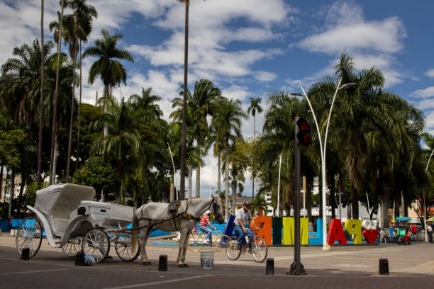 PALMIRA, COLOMBIA - SEPTEMBER 2021. Famous traditional victoria at the Bolivar Square in Palmira City PALMIRA, COLOMBIA - SEPTEMBER 2021. Famous traditional victoria at the Bolivar Square in Palmira City palmira colombia stock pictures, royalty-free photos & images