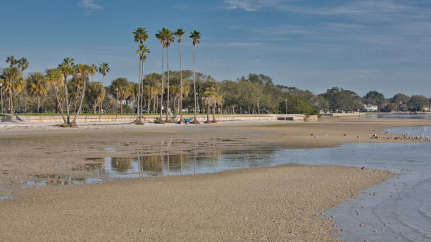 istock Northshore Park at Low Tide 1391469648