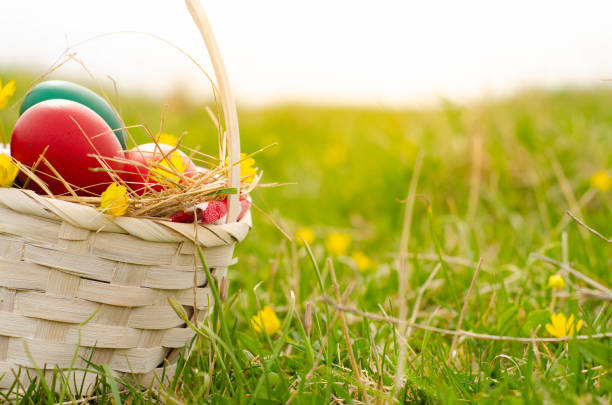 istock Easter egg basket on green grass on sunny day. Stock image 1391471140