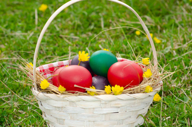 istock Easter egg basket on green grass on sunny day. Stock image 1391471161