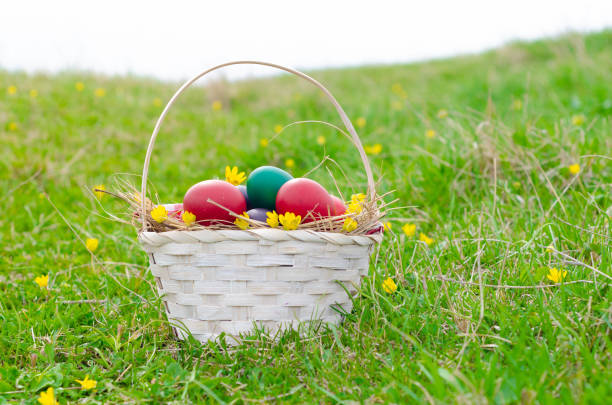 High angle view of colorful hand painted Easter eggs arranged in a green basket on white background leaving useful copy space for text and/or logo. Sugar sprinkles and candies complete the composition. High resolution 42Mp studio digital capture taken with Sony A7rII and Sony FE 90mm f2.8 macro G OSS lens