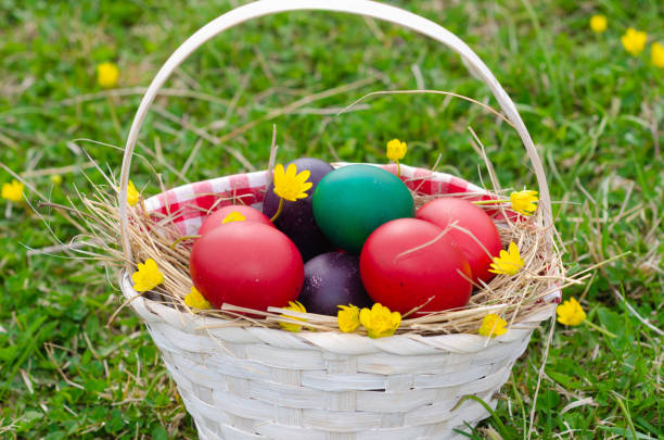 istock Easter egg basket on green grass on sunny day. Stock image 1391471172
