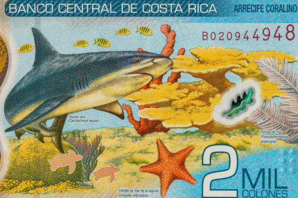 Costa Rica, New 2000 colon banknote, close-up, back of money with a shark Costa Rica, New 2000 colon banknote, close-up, back of money with a shark puerto limon stock pictures, royalty-free photos & images