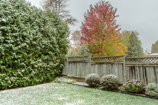 First fall snow in a fenced backyard with red and ywllow leaves First fall snow in a fenced backyard with red and yellow leaves brush fence stock pictures, royalty-free photos & images