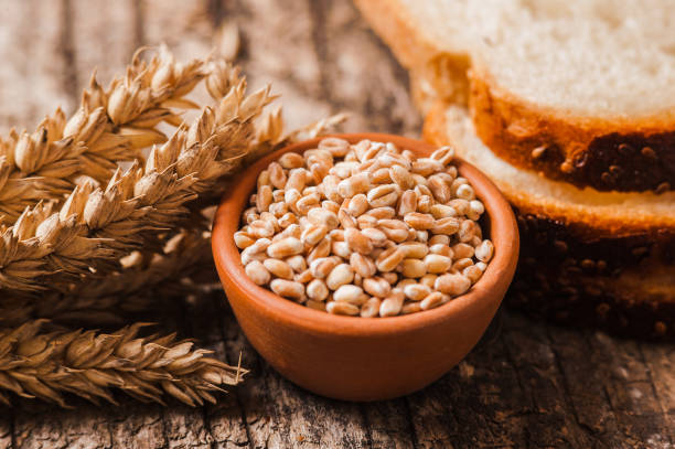 istock Fresh wheat grains and flour.Slices of bread. 1391475465