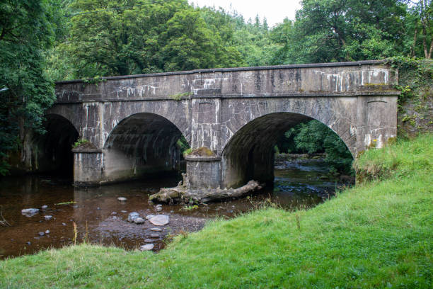istock Old stone bridge in Springtime, West Cork Ireland 1391475505