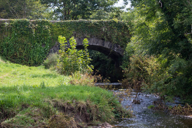 istock Old stone bridge in Springtime, West Cork Ireland 1391475515