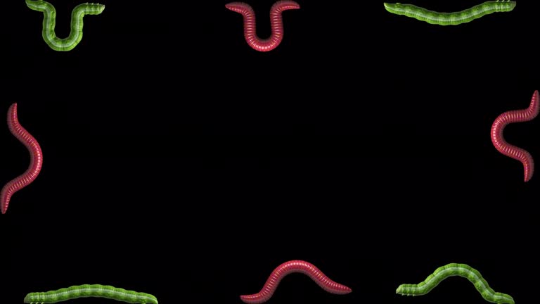 Helminth Animation 80+ Helminths Background Stock Videos and Royalty-Free Footage - iStock
