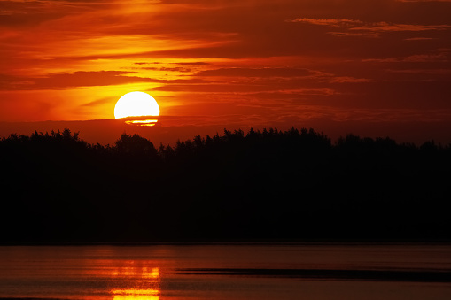 Crimson sunset. Huge sun disk on the background of the silhouette of the forest and river.