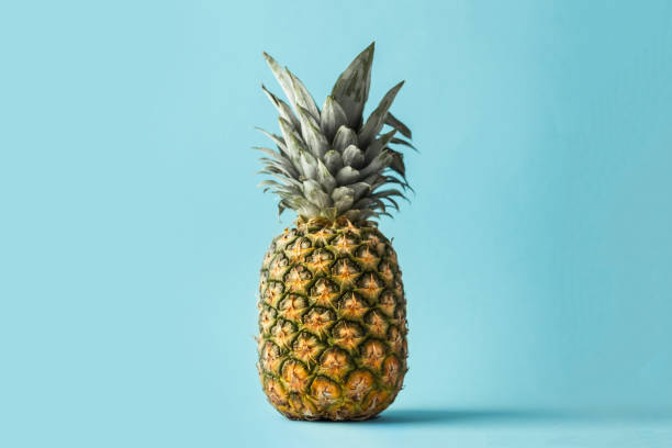 istock Summertime background with tropic feel 1391482479