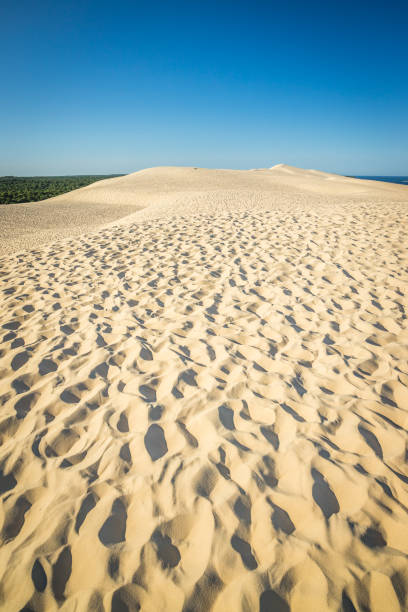 istock Dune of Pilat in La Teste-de-Buch on a summer day 1391484465