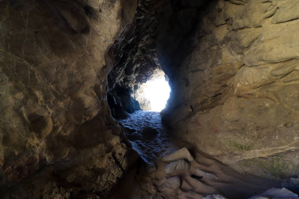 istock Pacific Coastline , California Stills 1391486114