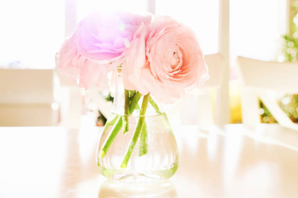 Small vase on table with tender pink ranunculus flowers in sunlight