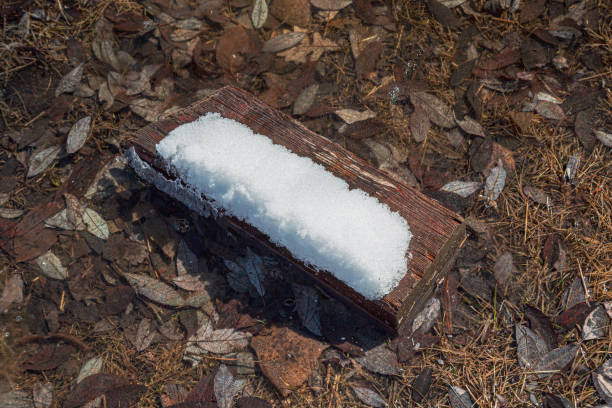 A little bit of snow remains on an old wooden board found in a leaf filled water puddle in springtime.