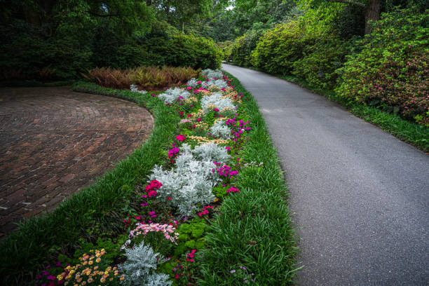 A Cool view of the Bellingrath garden