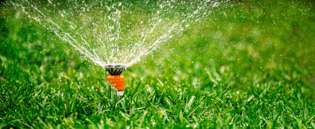 自動庭芝生スプリンクラー。庭の草に水をまく。コピースペースのあるバナー - 園芸用散水機 ストックフォトと画像