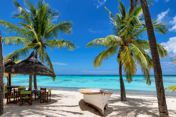 istock Beach cafe and boat in sandy beach 1391519850