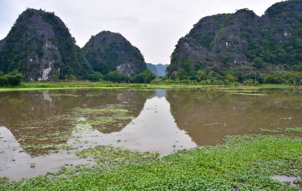 istock Lake and Karst in Ninh Binh 1391525770