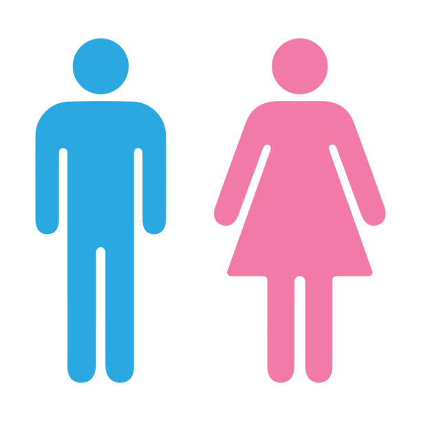Vector Male and Female Signs Vector Male and Female Signs Male Toilet stock illustrations