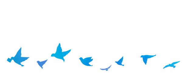 青い鳥のシルエットフレーム - ブルーバード点のイラスト素材／クリップアート素材／マンガ素材／アイコン素材