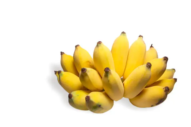 banana picture, yellow bananas, banana on white background. banana fruit close up, tropical yellow pattern, banana isolated