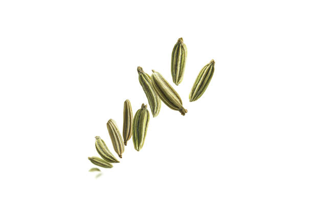 Fennel seeds levitate on a white background stock photo