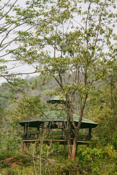 istock cabin in the jungle 1391540899
