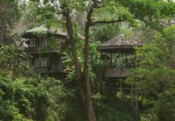 istock House in the forest 1391540931