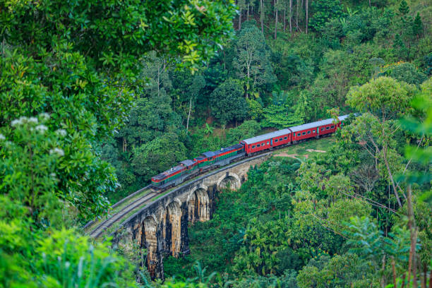 istock Vacation in Ella, Sri Lanka 1391546492
