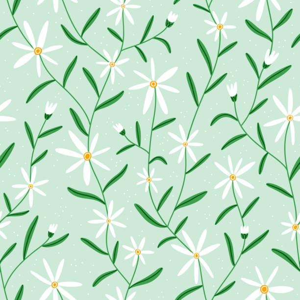 Mint Flower Pattern 5,500+ Botanical Illustrations Mint Stock Illustrations, Royalty-Free ...