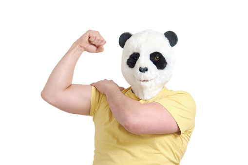 Man wearing a panda mask head doing strong gesture, isolated on white background in studio.